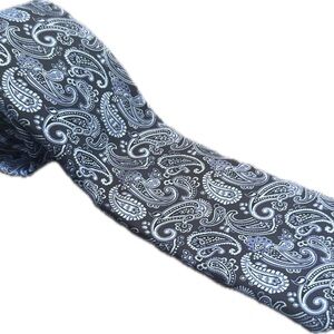 Alexander Julian Paisley Patterned Black and Gray Tie